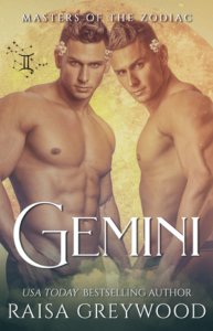 Gemini book cover